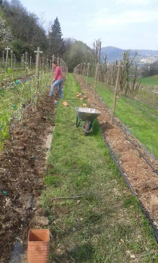 Agriturismo Terra E Lago D'Iseo Franciacorta Paratico 0*,